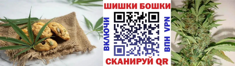 Купить  Донской  Cannafood конопля 