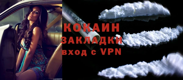 стаф Заводоуковск