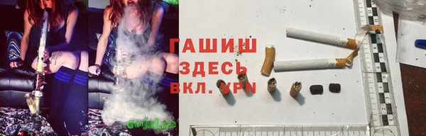 стаф Заводоуковск