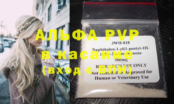 стаф Заводоуковск
