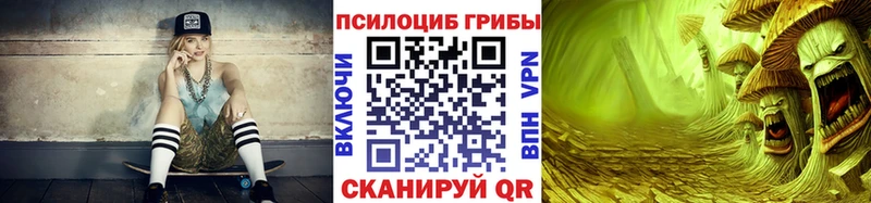Купить закладки  Донской  Псилоцибиновые грибы Psilocybine cubensis 
