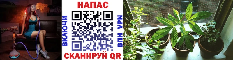 Купить закладки  Донской  Каннабис LSD WEED 